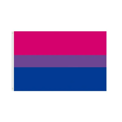 Гей Гордость интерсекс гордость асексуал гордость бисексуал пансексуал  пресексуал значок на лацкан | AliExpress