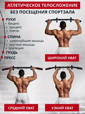 Красивый Fit Фитнесженщина Изгиб Его Бицепсы Xl — стоковые фотографии и  другие картинки 20-24 года - 20-24 года, 20-29 лет, Бицепс - iStock