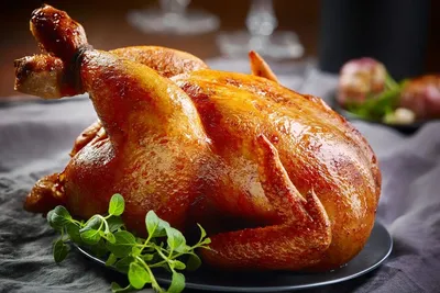 Шашлык, шаверма, салаты и горячие блюда из курицы: что заказать, чтобы  трапеза была диетической и вкусной