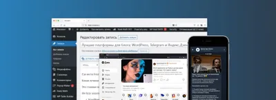 Лучшие платформы для блога в 2024 году: WordPress, Telegram и Дзен