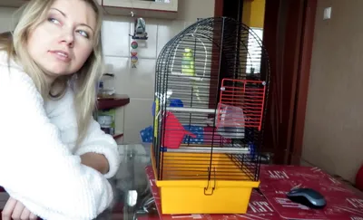 ВАКА HIGH QUALITY корм для волнистых попугаев, 500 г. купить в Новосибирске  с доставкой в интернет-магазине ЗооСАТ