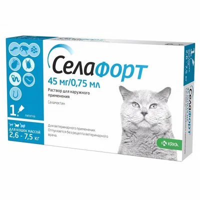 Атопический дерматит кошек - статьи о ветеринарии «Свой Доктор»
