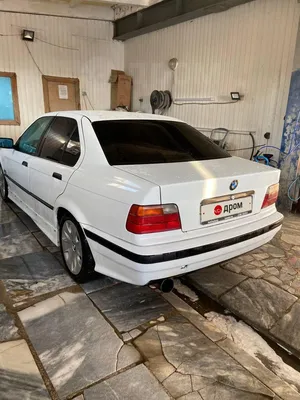 BMW 5 series (E39) 2.5 бензиновый 1996 | Dolphin на DRIVE2