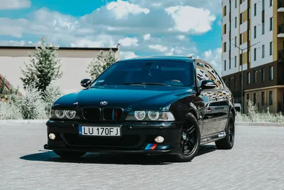 2,731 отметок «Нравится», 5 комментариев — 🔝 BMW E39 Exclusive Club 👑  (@e39club) в Instagram: « … | Bmw, Bmw e39, Bmw m5