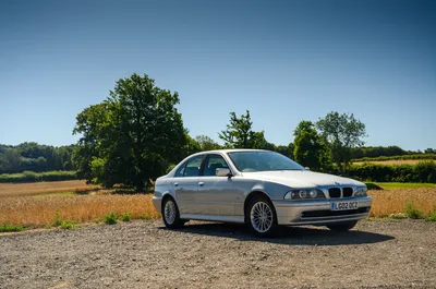 BMW E39 5 Series: Autocar buys a modern classic | Autocar