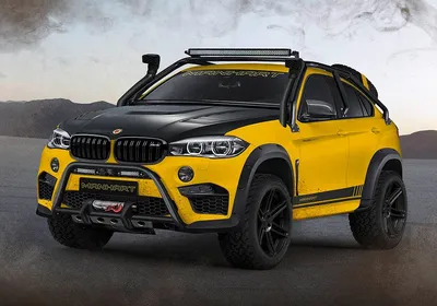 Sports tuning for BMW X6: buy a body kit