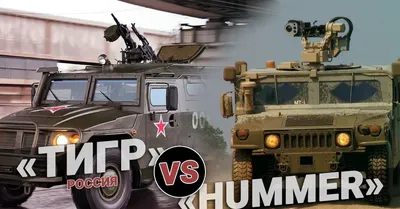 Тигр» vs «Hummer». Кто кого? | Пикабу