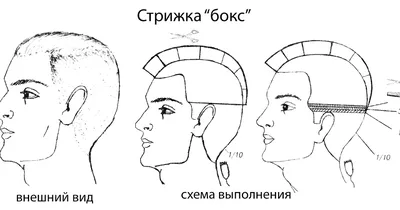 Прическа бокс мужская (20 фото) ✂ Для Роста Волос