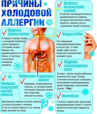 Лечение крапивницы в Киеве — Derma.ua