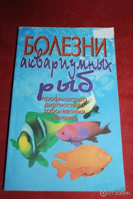 Аквариумные рыбки: фото с названиями, содержание, виды, болезни