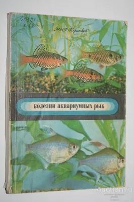 Болезни аквариумных рыбок: виды, признаки и лечение