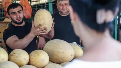 На рынке Узбекистана появились раннеспелые дыни из Сурхандарьинской области  • EastFruit