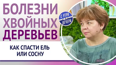 Болезни можжевельника: причины и признаки появления, способы избавления от  ржавчины