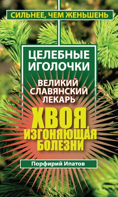 Фузариоз сосны | Центр Экосистемой Фитопатологии - Зеленая Клиника -  Клиника для Растений