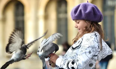 Как помочь голубю, зачем нужны голубятни, домашние голуби - Афиша Daily