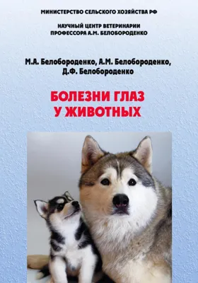 НОДУЛЯРНЫЙ ДЕРМАТИТ КРУПНОГО РОГАТОГО СКОТА - ГБУ КО «Думиничская  межрайонная станция по борьбе с болезнями животных»