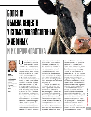 У коров в Хабаровском крае из-за укусов оводов завелись глисты в глазах |  ОБЩЕСТВО | АиФ Хабаровск