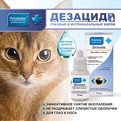 Офтальмосан капли глазные для кошек и собак 15 мл - купить в Новосибирске  по цене от 304 рубля в интернет-магазине Мокрый Нос с доставкой