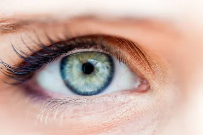 Распространенные заболевания органов зрения у людей старше 40 лет | Блог |  GlazGo