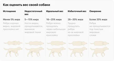 Проблемы собак крупных пород. Как ухаживать и лечить