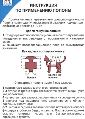 Проблемы собак маленьких пород. Как ухаживать и лечить