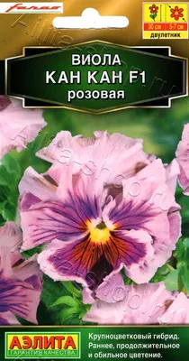 Цветы канна (45 фото): все о видах, размножение, посадка и уход