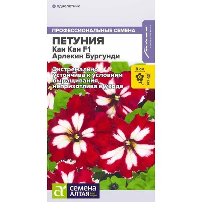 Самая знаменательная красная дорожка в моей жизни»: Алина Байкова о  поддержке Украины в Каннах – INSIDER UA