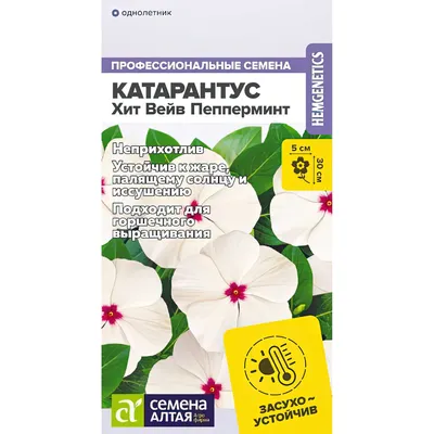 Катарантус Пацифика смесь, семена Агроуспех 7шт (500) в ТПК РОСТИ - ТПК  Рости