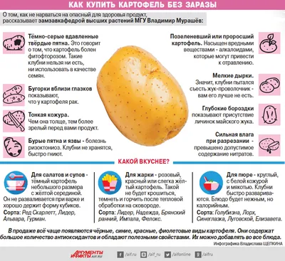 Улучшение качества кожуры картофеля — Журнал \"Картофельная Система\"