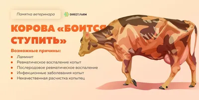 Болезни копыт КРС могут приводить к снижению удоев коров до 25% –  Отраслевой портал Аграрная наука, журнал сельское хозяйство России