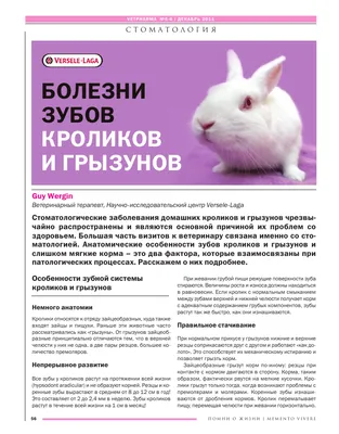 больной кролик из-за миксоматоза Стоковое Фото - изображение насчитывающей  больно, болезнь: 260074850