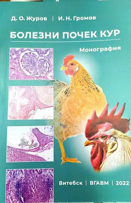 Кокцидиоз кур и вакцинопрофилактика – тема научной статьи по животноводству  и молочному делу читайте бесплатно текст научно-исследовательской работы в  электронной библиотеке КиберЛенинка