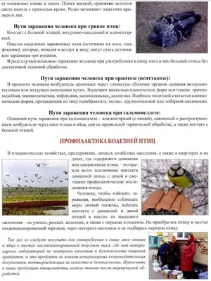 ПАМЯТКА по недопущению заноса и распространения вируса высокопатогенного  гриппа птиц