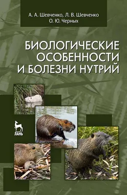 Биологические особенности и болезни нутрий, А. А. Шевченко – скачать pdf на  ЛитРес