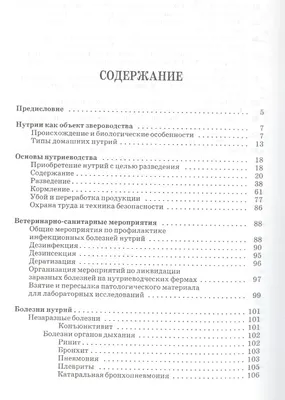 Выращивать нутрии вдвое выгоднее, чем содержать свиней - Новини АПК |  Головні фермерські новини України