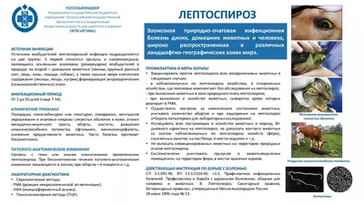 Книга: Нутрии в приусадебном хозяйстве Серия: Библиотечка Домашнее  животноводство Купить за 160.00 руб.