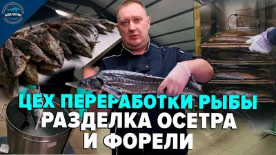 Интересно знать » Страница 2 » FISH-AGRO | Проектирование и поставка  оборудования для рыборазведения в УЗВ | +7-499-390-15-50