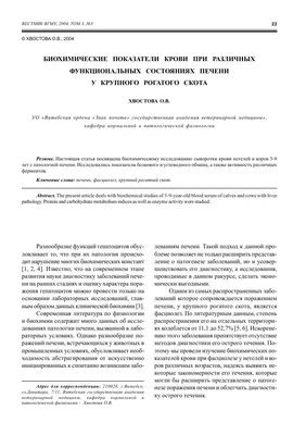 Ультразвуковая анатомия нормальной печени | Ветеринарная клиника доктора  Шубина