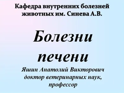 Новый метод биопсии печени КРС широко применяют ветеринары в мировой  молочной державе — АгроXXI