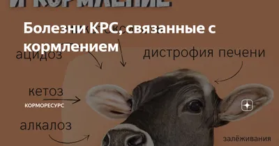 Вопросы из чатов: как интерпретировать результаты вскрытия коров?