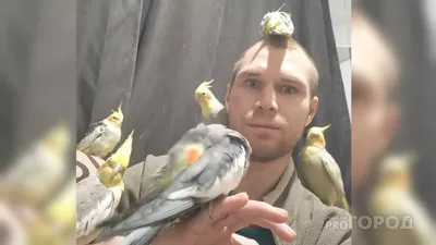 10 самых умных попугаев 🦜 в мире | Pet7