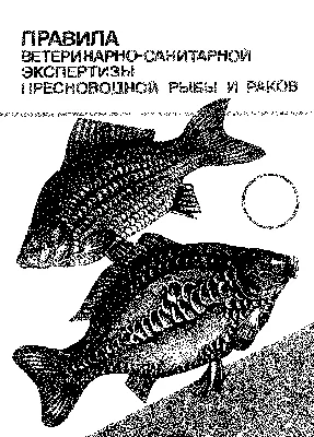 Об опасности описторхоза и дифиллоботриоза » Богородский район |  Общественно-политическая газета \"ЗАРЯ\"