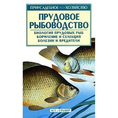 Рыбки Данио – уход и содержание, описание, размножение, фото