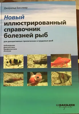 Белое пятно на коридорасе Венесуэле блэк - Страница 3 - Заболевания  сомоподобных рыб и их лечение - Форум FanFishka.ru