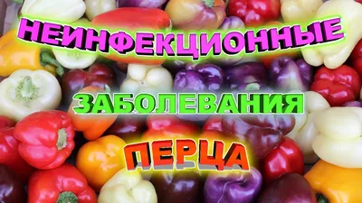 Как вырастить сладкий перец