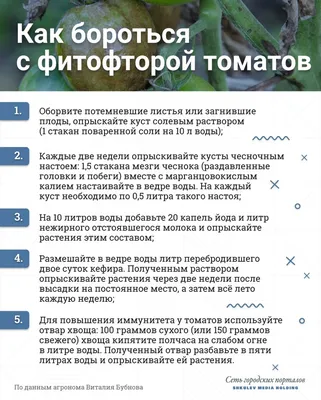 Спасаем рассаду: 10 распространенных проблем и способы борьбы с ними |  AgroMarket интернет магазин семян