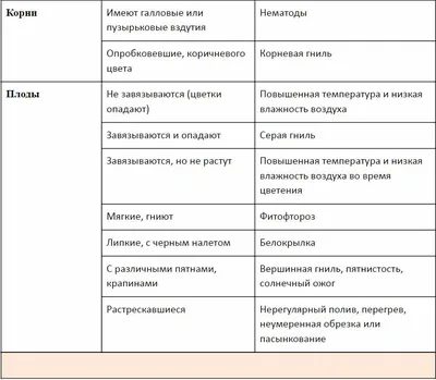 Как распознать болезни томатов и справиться с ними | Полезные статьи на  блоге Беккер