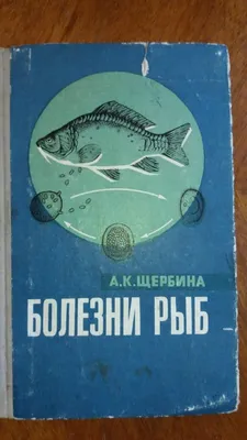 Болезни рыб 1973 год Киев издательство Урожай А.К.Щербина (ID#1913140303),  цена: 2061.06 ₴, купить на Prom.ua