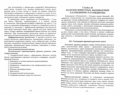 Эмкар – опасное заболевание крупного рогатого скота | Российский аграрный  портал