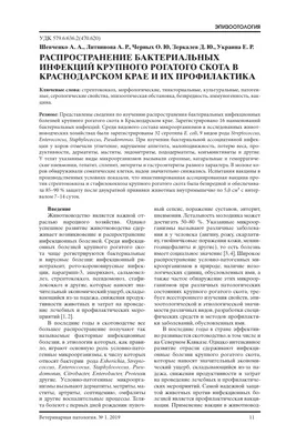 В Крыму локализовали очередной очаг бруцеллеза - РИА Новости Крым,  28.02.2023